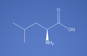 L-Leucine USP EP BP JP ChP